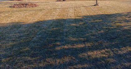 March 2025 dethatching and cleanup.