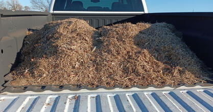 Look at all the thatch and debris that was removed from the front yard!