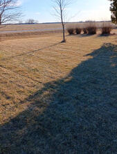 March 2025 dethatching and cleanup.