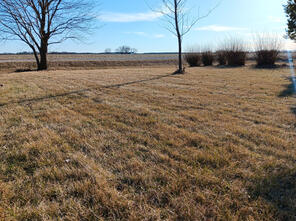 March 2025 dethatching and cleanup.